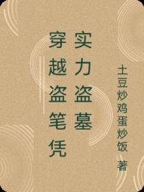 穿越盗笔凭实力盗墓