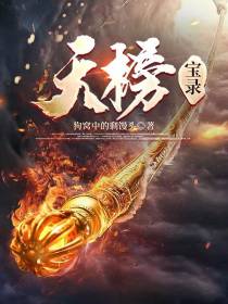 天榜！宝录