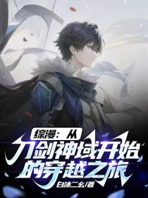 综漫：从刀剑神域开始的穿越之旅