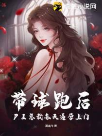 带球跑后,尸王总裁每天逼孕上门