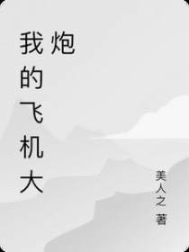 我的飞机大炮
