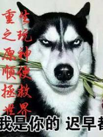 重生之玩原神顺便拯救世界