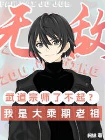 武道宗师了不起？我是大乘期老祖