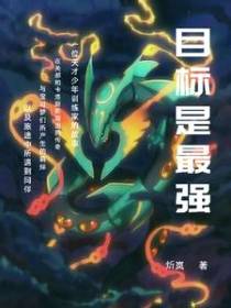 神奇宝贝：目标是最强