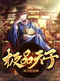 极品天子