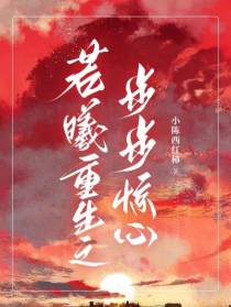 若曦重生之步步惊心