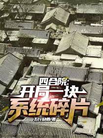 四合院：开局一块系统碎片
