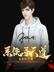 系统寻天道