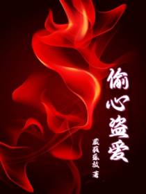 偷心盗爱