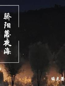 骄阳落夜海