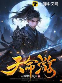 天命游
