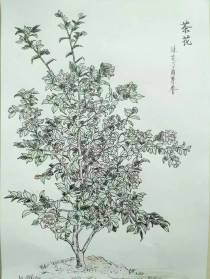 与往事和解