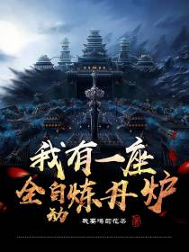 我有一座全自动炼丹炉