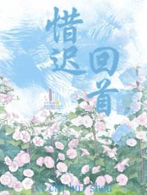惜迟回首可惜你迟迟未回头