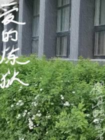 爱的炼狱