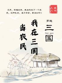三国一农民