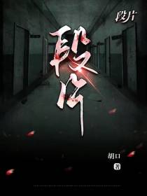 段片