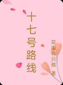 十七号路线