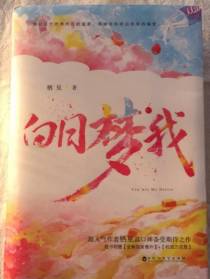 白日梦我正版