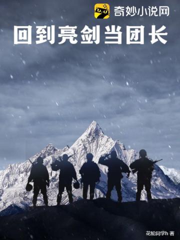 回到亮剑当团长