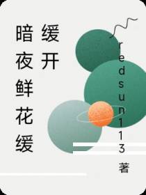 暗夜鲜花缓缓开