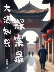大清知县探案录