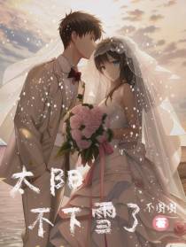 太阳,不下雪了