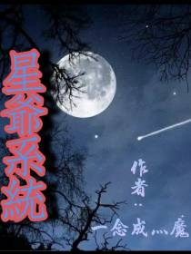 星爷系统
