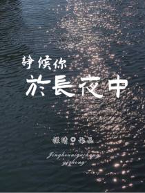 静候你于长夜中