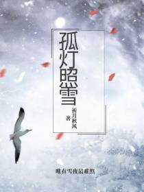 孤灯照雪