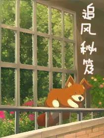追风秘笈