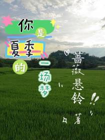 你是夏季的一场梦