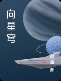 向星穹