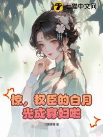 惊,权臣的白月光成寡妇啦