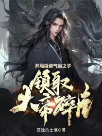开局投资气运之子,领取大帝碎片