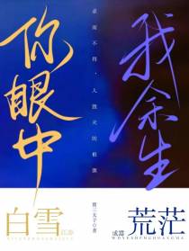 你眼中白雪我余生荒茫