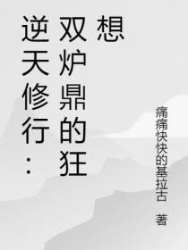 逆天修行：双炉鼎的狂想
