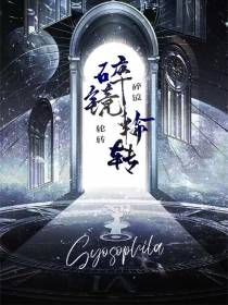碎镜：轮转