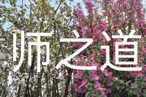 师之道