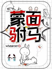蒙面驸马