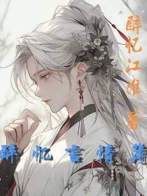 醉忆言情簿