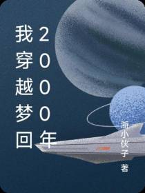 我穿越梦回2000年