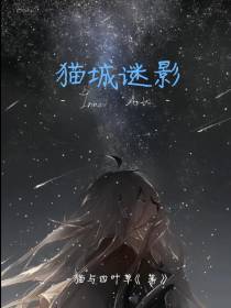 猫城谜影