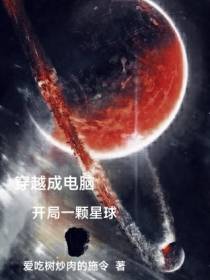 穿越成电脑,开局一颗星球