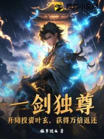 一剑独尊：开局投资叶玄,获得万倍返还