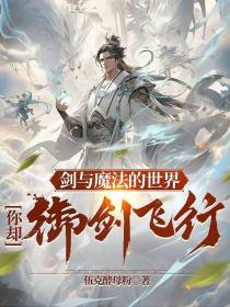 剑与魔法的世界,你却御剑飞行？