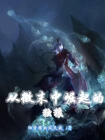 从微末中崛起的独狼
