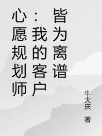 心愿规划师：我的客户皆为离谱