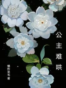 公主难哄