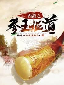 西游之参王证道